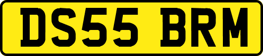 DS55BRM