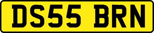 DS55BRN