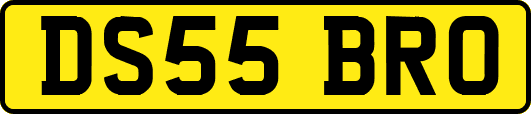 DS55BRO
