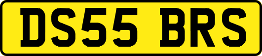 DS55BRS