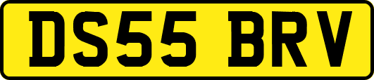 DS55BRV