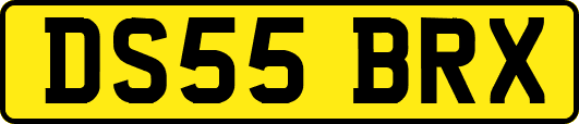 DS55BRX