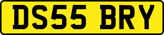 DS55BRY