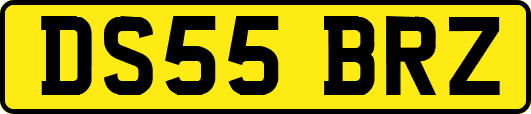 DS55BRZ