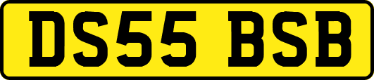 DS55BSB