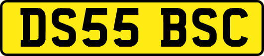 DS55BSC
