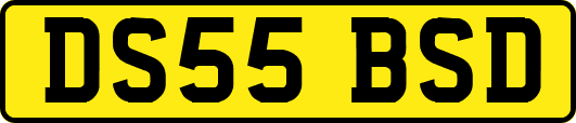 DS55BSD