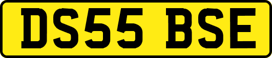 DS55BSE