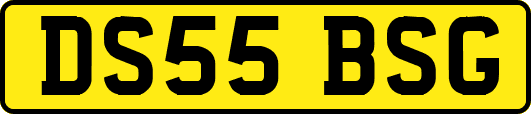 DS55BSG