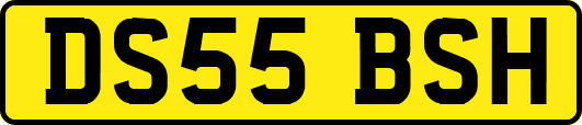 DS55BSH
