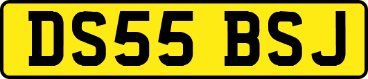 DS55BSJ