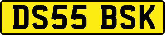 DS55BSK