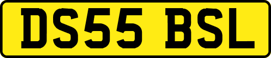 DS55BSL