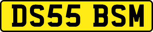 DS55BSM