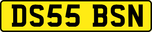 DS55BSN