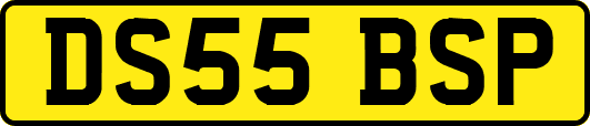 DS55BSP