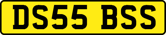 DS55BSS