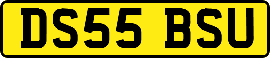 DS55BSU