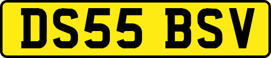 DS55BSV