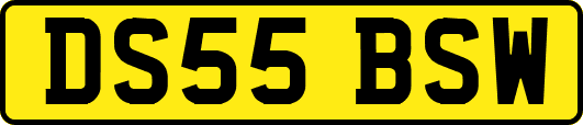 DS55BSW