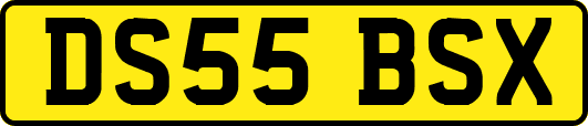 DS55BSX