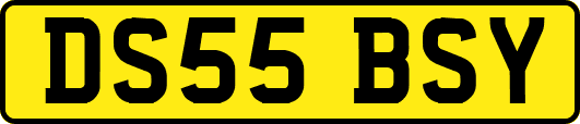 DS55BSY