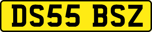 DS55BSZ