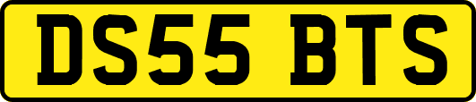 DS55BTS
