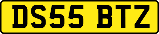 DS55BTZ