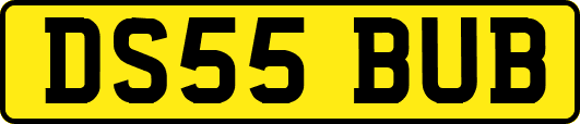 DS55BUB