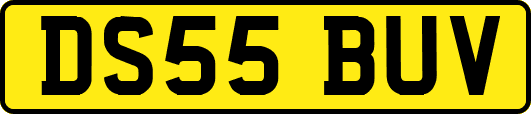 DS55BUV