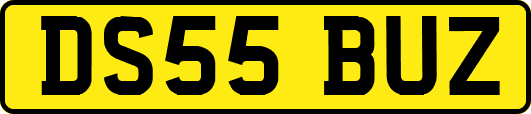 DS55BUZ