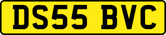 DS55BVC