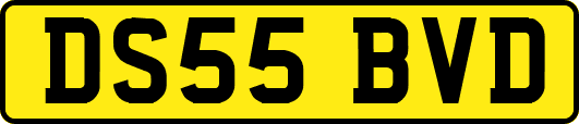 DS55BVD
