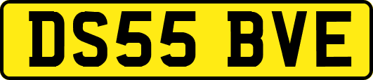 DS55BVE