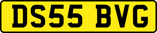 DS55BVG