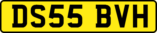 DS55BVH