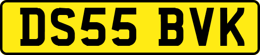 DS55BVK
