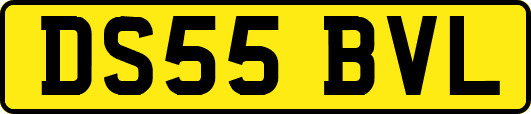 DS55BVL