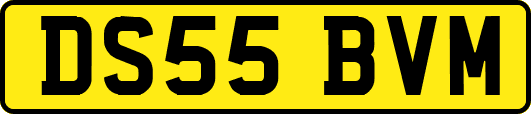 DS55BVM