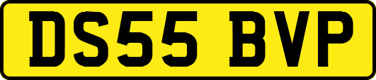 DS55BVP