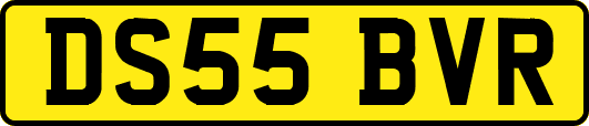 DS55BVR