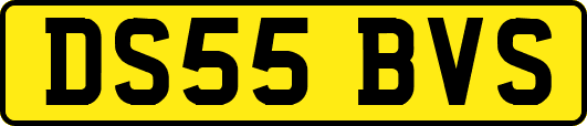 DS55BVS