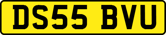 DS55BVU
