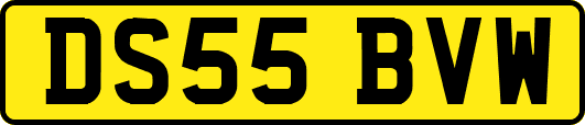 DS55BVW