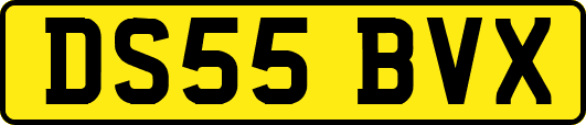 DS55BVX