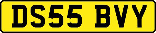 DS55BVY