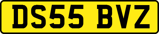 DS55BVZ