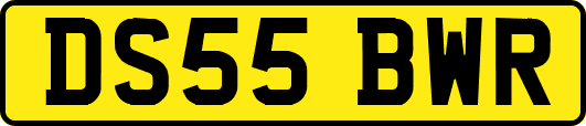 DS55BWR