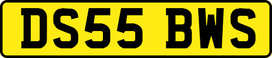 DS55BWS